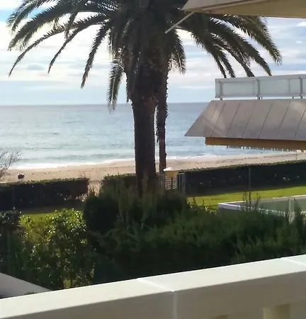 Guardamar Miami Playa